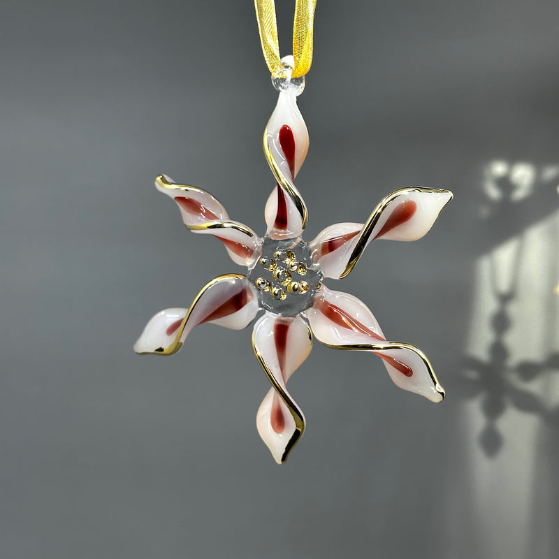 Spiral Star Glass Ornament Multi Color - Egyptian Handblown